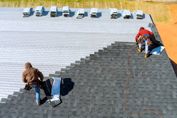 Best Roof Moss and Algae Removal  in Lincoln, IL